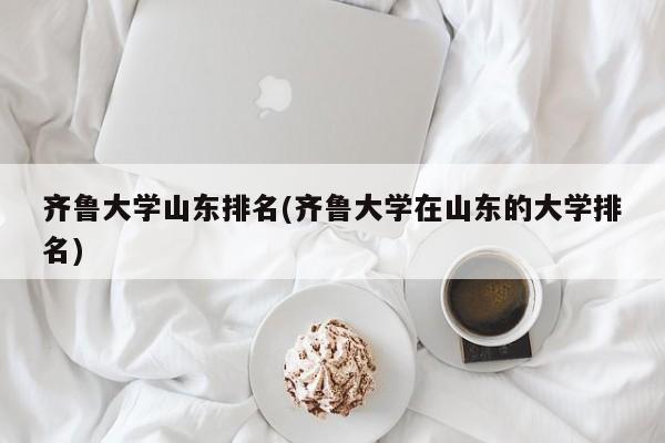 齐鲁大学山东排名(齐鲁大学在山东的大学排名)