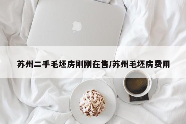 苏州二手毛坯房刚刚在售/苏州毛坯房费用