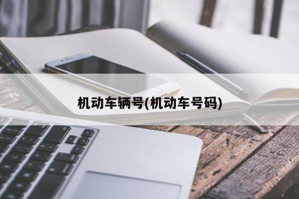 机动车辆号(机动车号码)