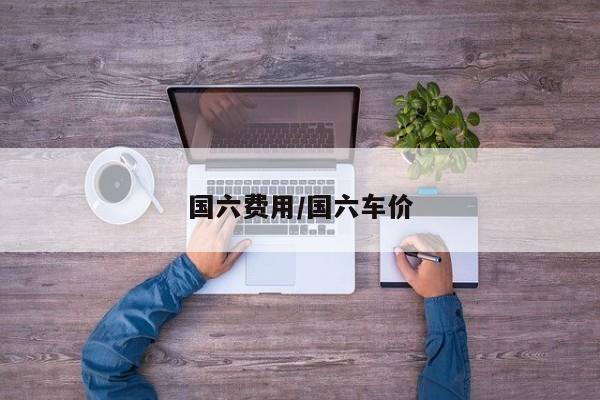 国六费用/国六车价