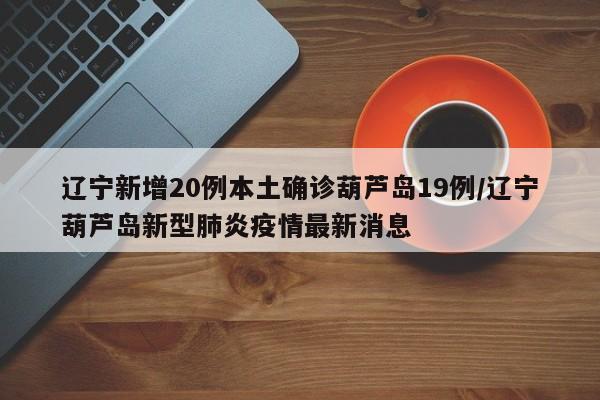 辽宁新增20例本土确诊葫芦岛19例/辽宁葫芦岛新型肺炎疫情最新消息