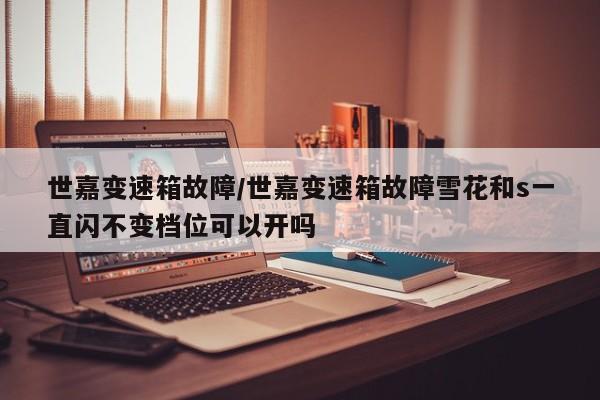 世嘉变速箱故障/世嘉变速箱故障雪花和s一直闪不变档位可以开吗