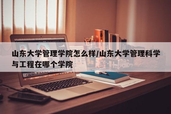 山东大学管理学院怎么样/山东大学管理科学与工程在哪个学院