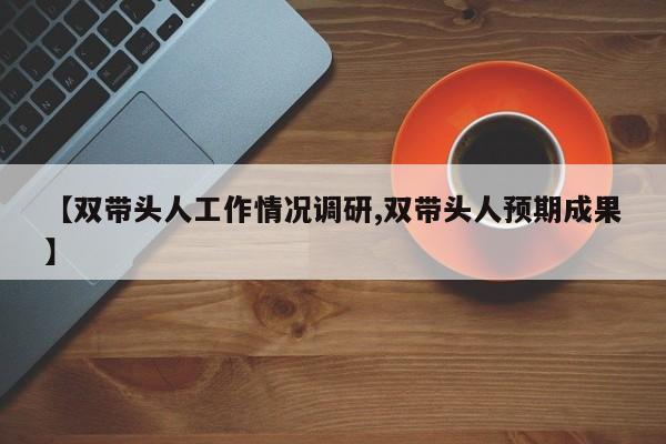 【双带头人工作情况调研,双带头人预期成果】