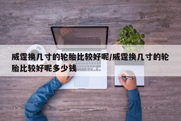 威霆换几寸的轮胎比较好呢/威霆换几寸的轮胎比较好呢多少钱
