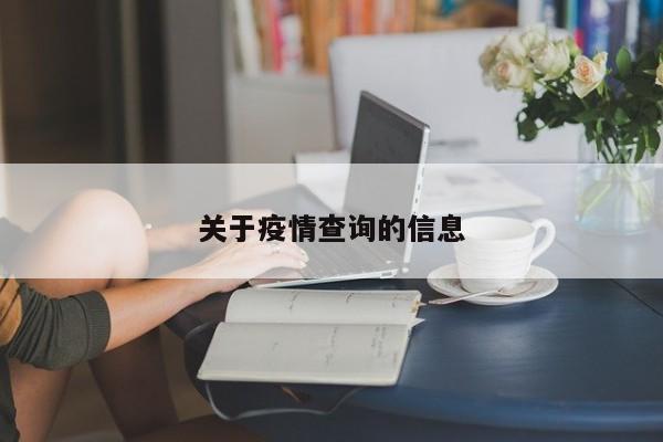 关于疫情查询的信息