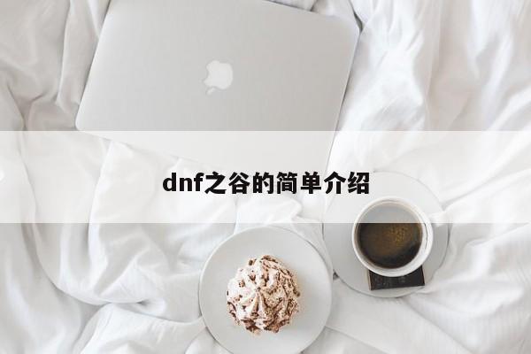 dnf之谷的简单介绍