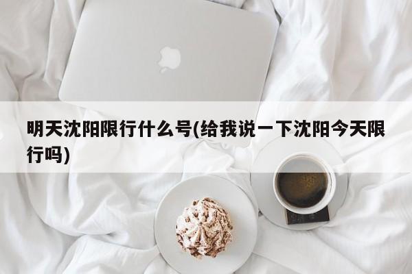 明天沈阳限行什么号(给我说一下沈阳今天限行吗)