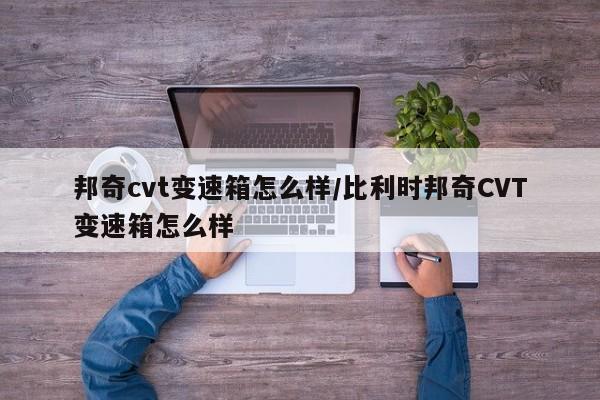 邦奇cvt变速箱怎么样/比利时邦奇CVT变速箱怎么样