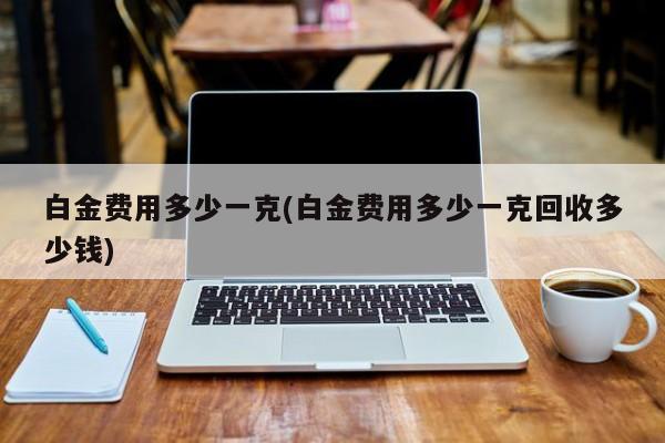 白金费用多少一克(白金费用多少一克回收多少钱)