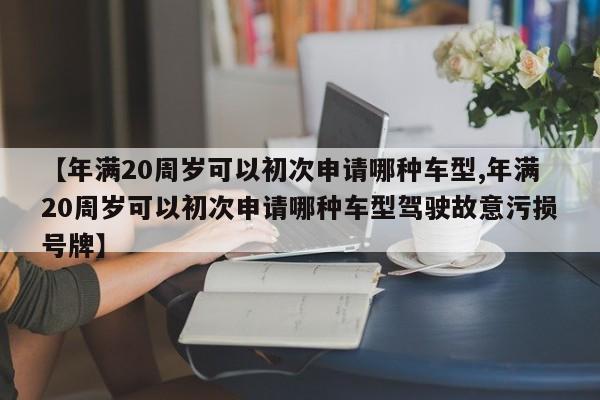 【年满20周岁可以初次申请哪种车型,年满20周岁可以初次申请哪种车型驾驶故意污损号牌】