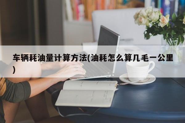 车辆耗油量计算方法(油耗怎么算几毛一公里)
