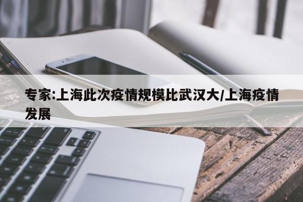 专家:上海此次疫情规模比武汉大/上海疫情发展