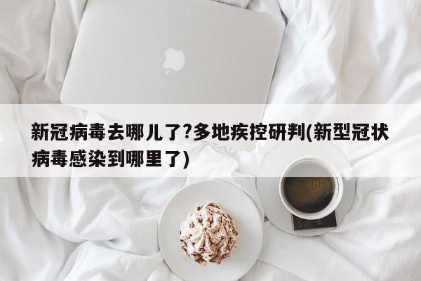 新冠病毒去哪儿了?多地疾控研判(新型冠状病毒感染到哪里了)