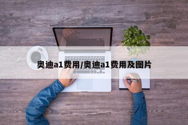 奥迪a1费用/奥迪a1费用及图片