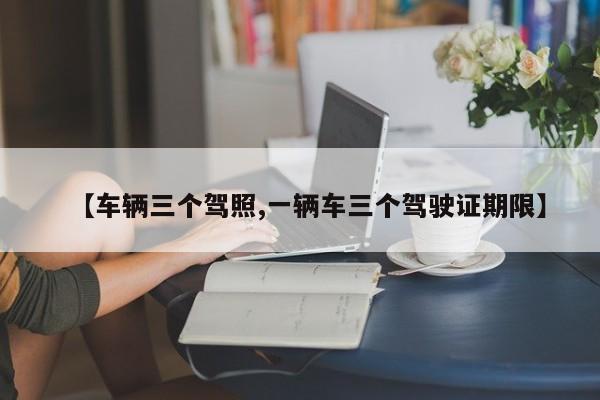 【车辆三个驾照,一辆车三个驾驶证期限】