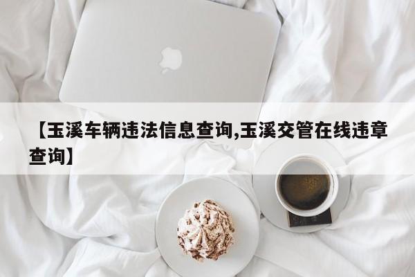 【玉溪车辆违法信息查询,玉溪交管在线违章查询】