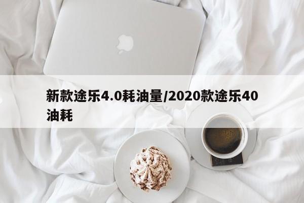 新款途乐4.0耗油量/2020款途乐40油耗