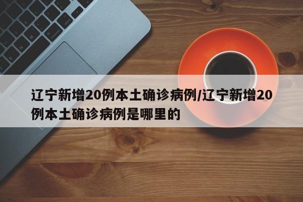 辽宁新增20例本土确诊病例/辽宁新增20例本土确诊病例是哪里的