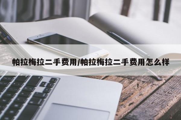 帕拉梅拉二手费用/帕拉梅拉二手费用怎么样