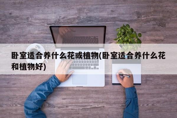 卧室适合养什么花或植物(卧室适合养什么花和植物好)