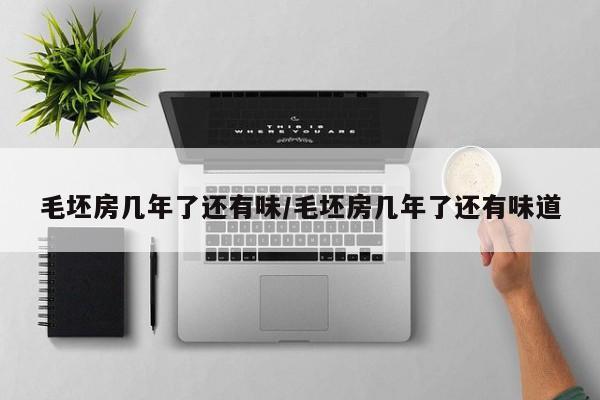 毛坯房几年了还有味/毛坯房几年了还有味道