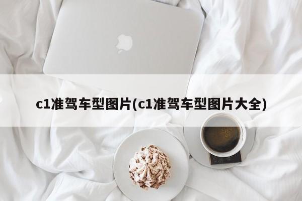 c1准驾车型图片(c1准驾车型图片大全)