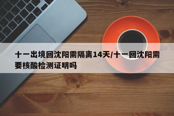 十一出境回沈阳需隔离14天/十一回沈阳需要核酸检测证明吗