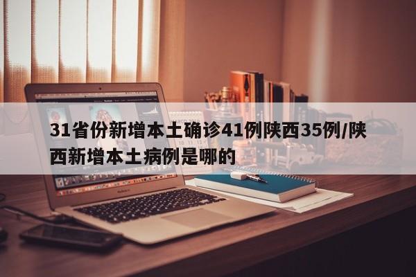 31省份新增本土确诊41例陕西35例/陕西新增本土病例是哪的