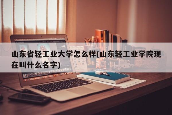 山东省轻工业大学怎么样(山东轻工业学院现在叫什么名字)