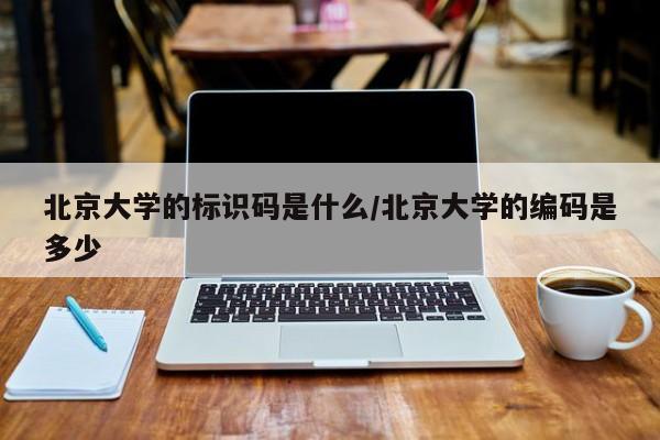 北京大学的标识码是什么/北京大学的编码是多少