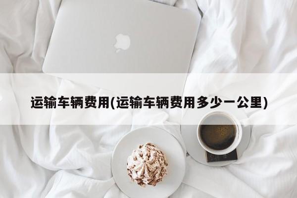 运输车辆费用(运输车辆费用多少一公里)