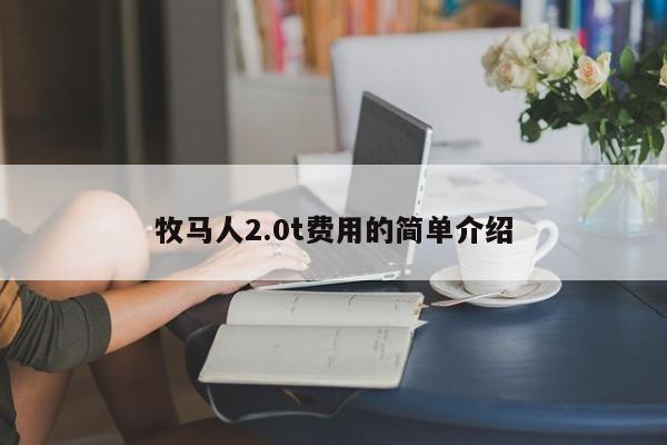 牧马人2.0t费用的简单介绍