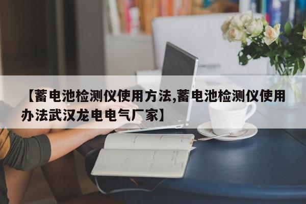 【蓄电池检测仪使用方法,蓄电池检测仪使用办法武汉龙电电气厂家】