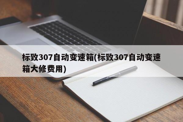 标致307自动变速箱(标致307自动变速箱大修费用)