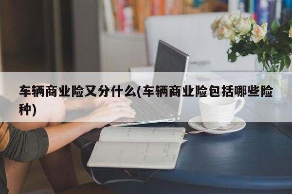 车辆商业险又分什么(车辆商业险包括哪些险种)