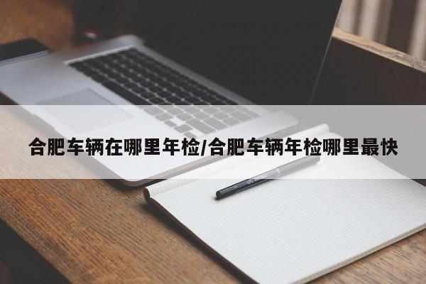 合肥车辆在哪里年检/合肥车辆年检哪里最快
