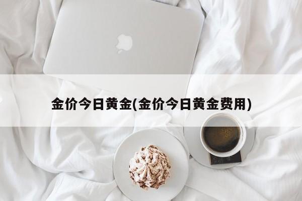 金价今日黄金(金价今日黄金费用)