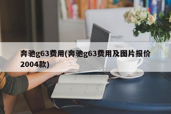 奔驰g63费用(奔驰g63费用及图片报价2004款)