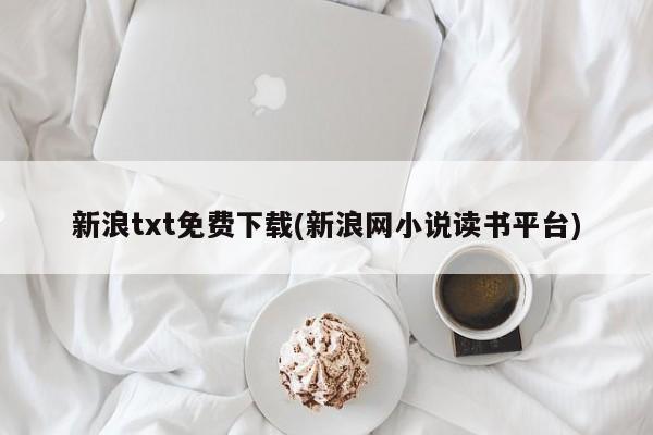 新浪txt免费下载(新浪网小说读书平台)
