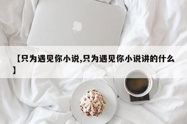 【只为遇见你小说,只为遇见你小说讲的什么】